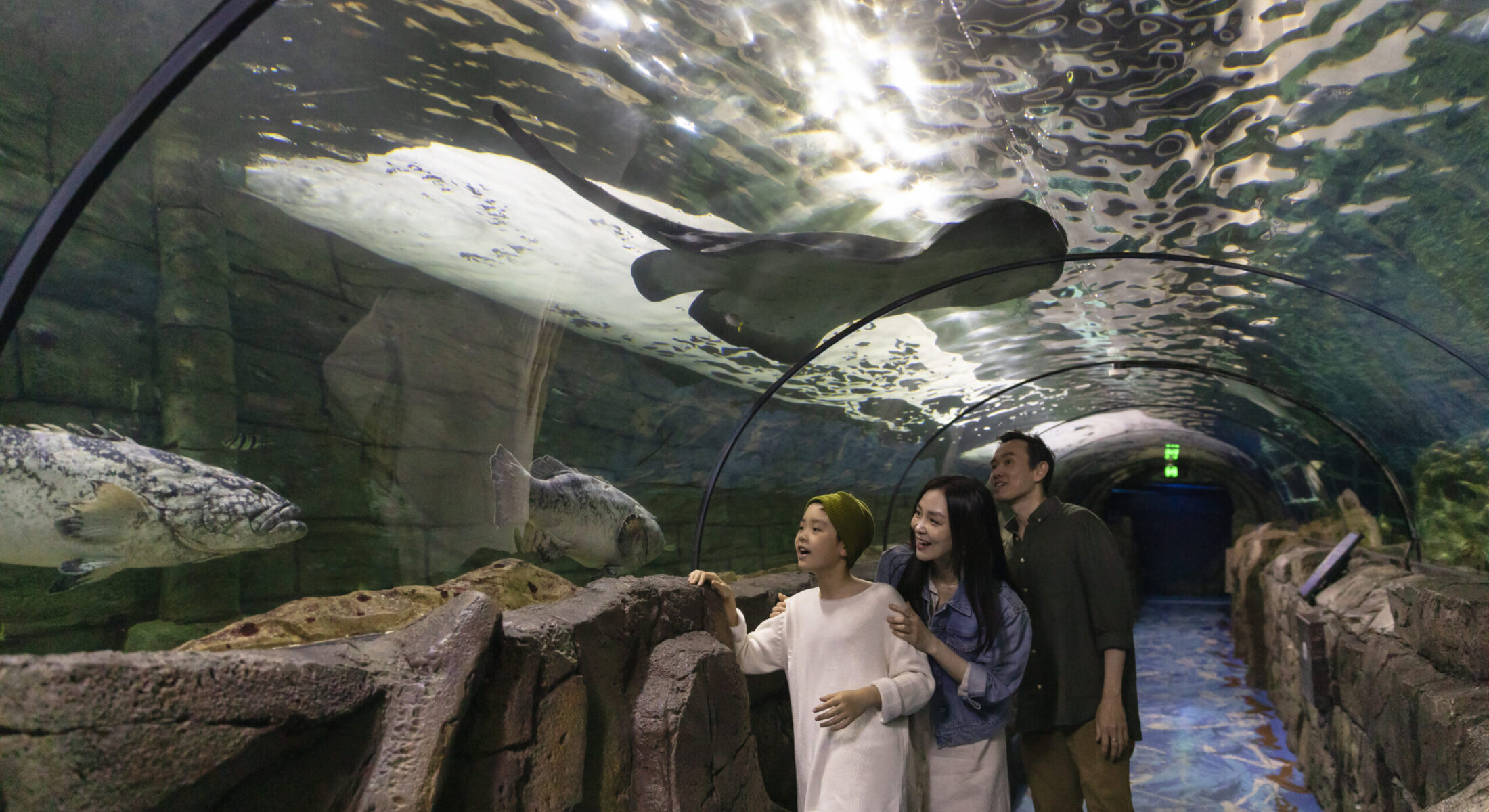 SEA LIFE Sydney Aquarium